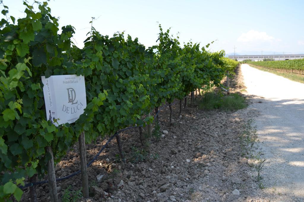 Agriturismo De Luca Mozzagrogna Dış mekan fotoğraf