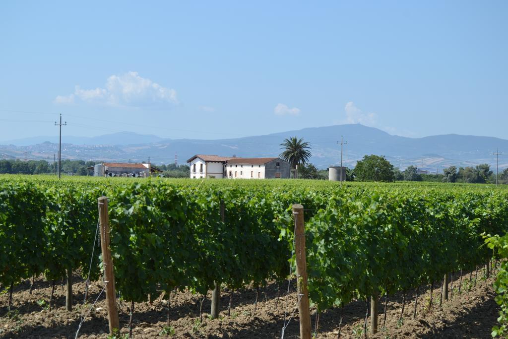 Agriturismo De Luca Mozzagrogna Dış mekan fotoğraf